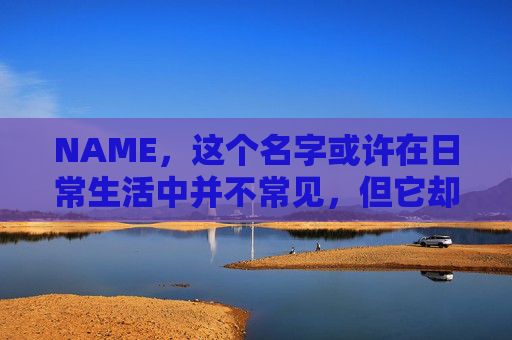 NAME，这个名字或许在日常生活中并不常见，但它却在某些领域里扮演着重要的角色。今天，让我们一起来探索这个名字背后的故事和意义